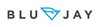 jobs in BLUJAY SOLUTIONS PTE. LTD.