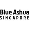 Blue Ashva Capital Pte. Ltd. logo