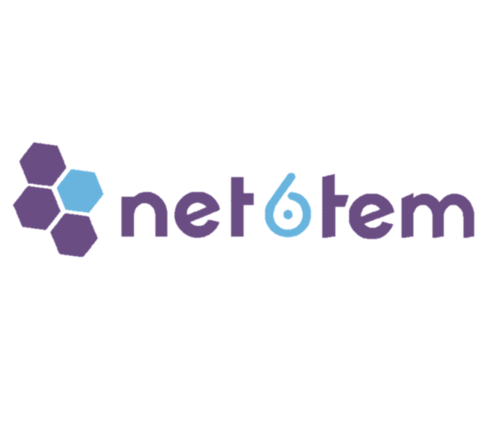 Net6tem Pte. Ltd. logo