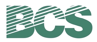 Bcs Consulting Group Pte. Ltd. logo