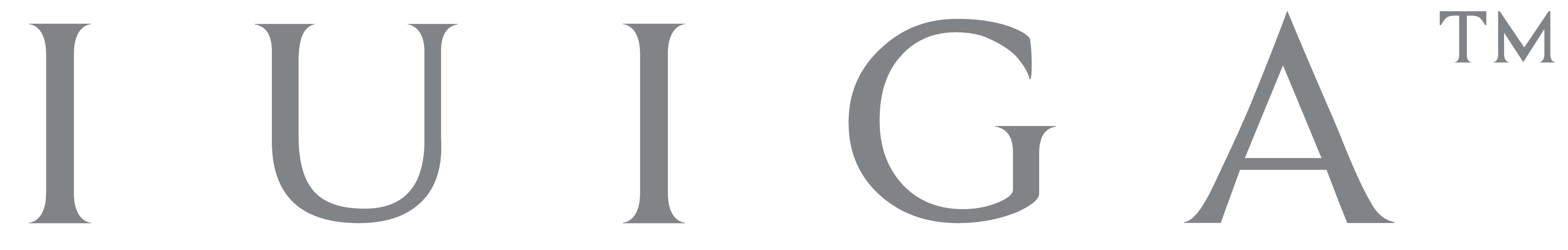 Iuiga Technologies Pte. Ltd. logo
