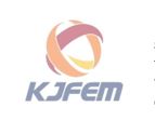 Kj Fem Pte. Ltd. company logo