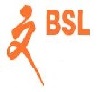 Bsl Management Services Pte Ltd logo