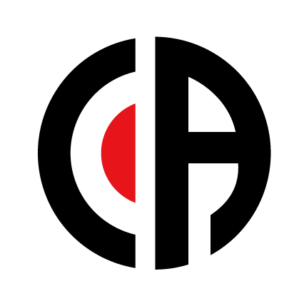 Ace Pointer Information Technology Pte. Ltd. logo