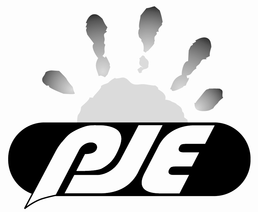 Pje Group Pte. Ltd. logo