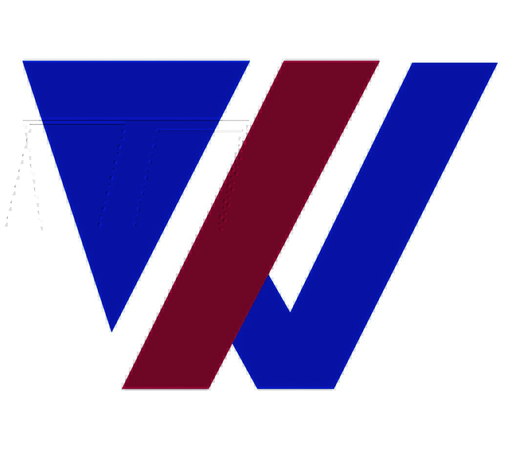 Wisescan Engineering Services Pte Ltd logo