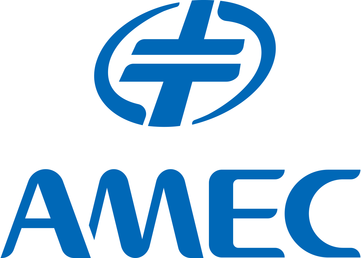 Advanced Micro-fabrication Equipment International Pte. Ltd. logo