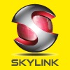 Skylink Group Holdings Pte. Ltd. logo