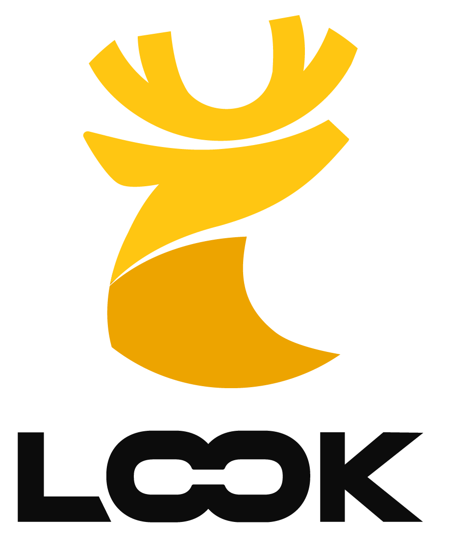 Look Capital Pte. Ltd. company logo