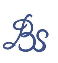 Bs Sons Pte. Ltd. company logo