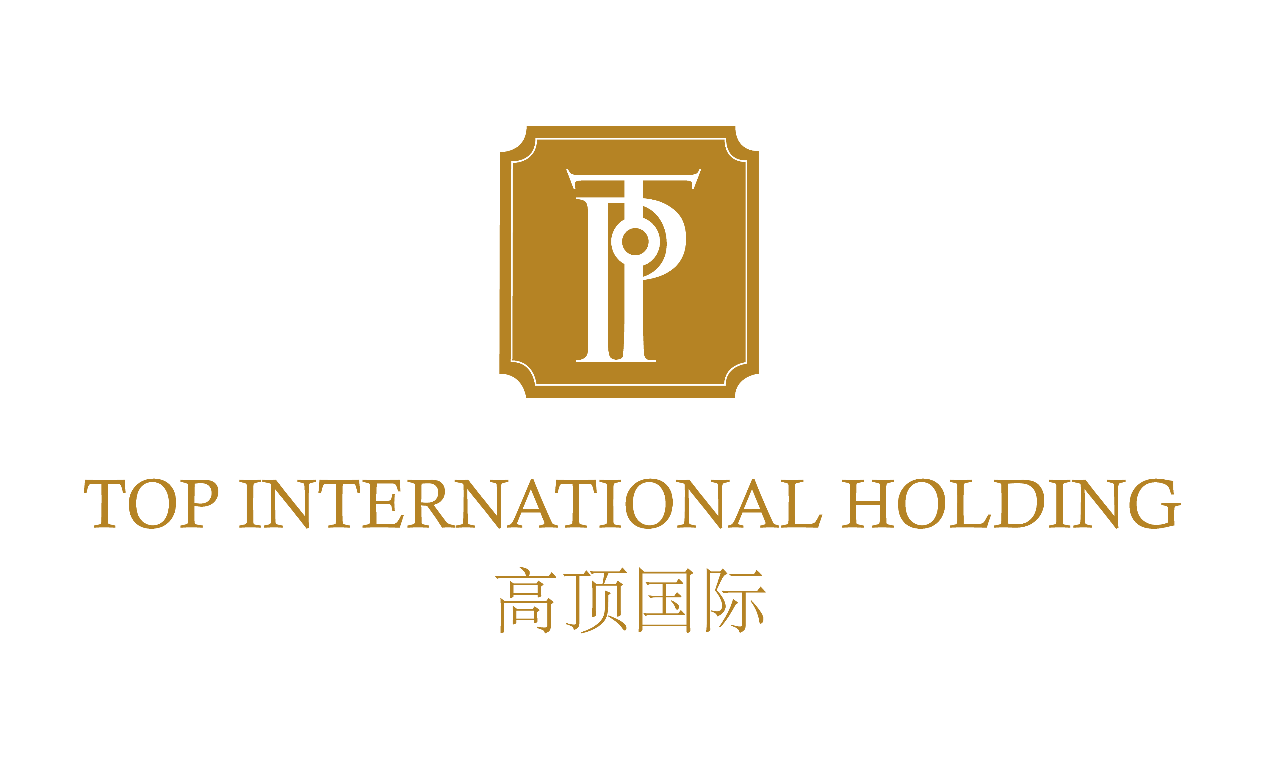 Top International Holding Pte. Ltd. logo