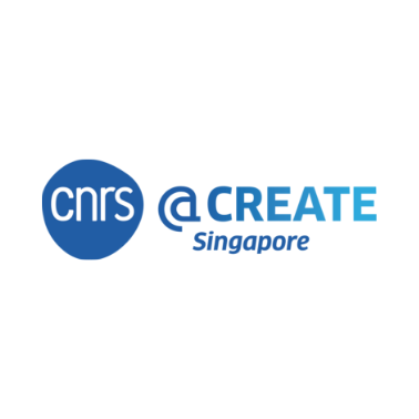Cnrs@create Ltd. company logo