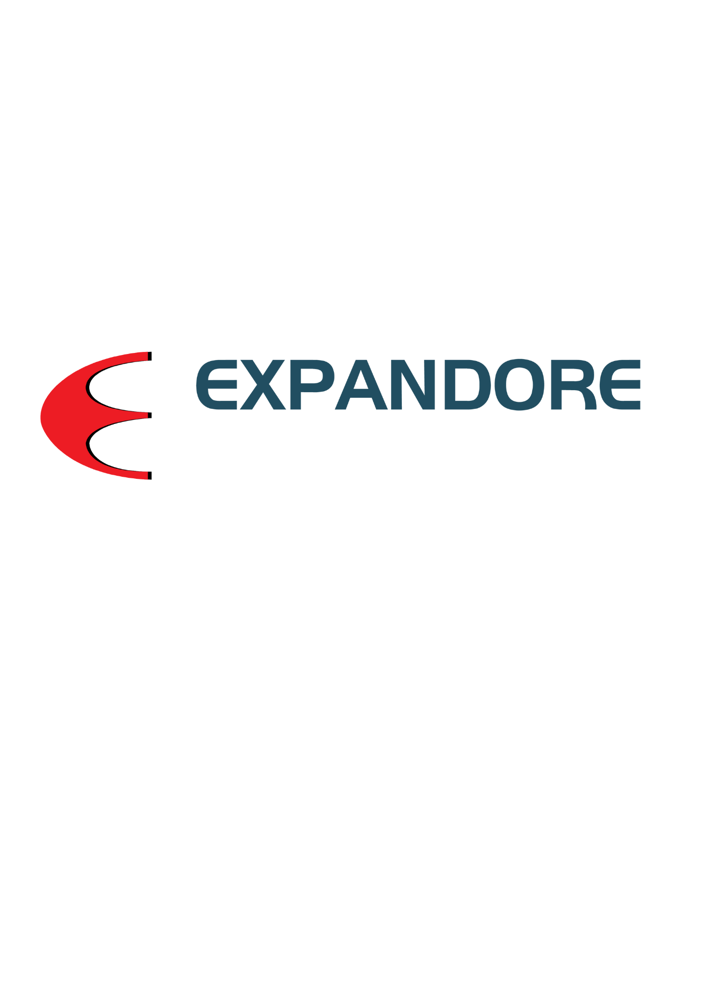 Expandore Electronics Pte. Ltd. logo