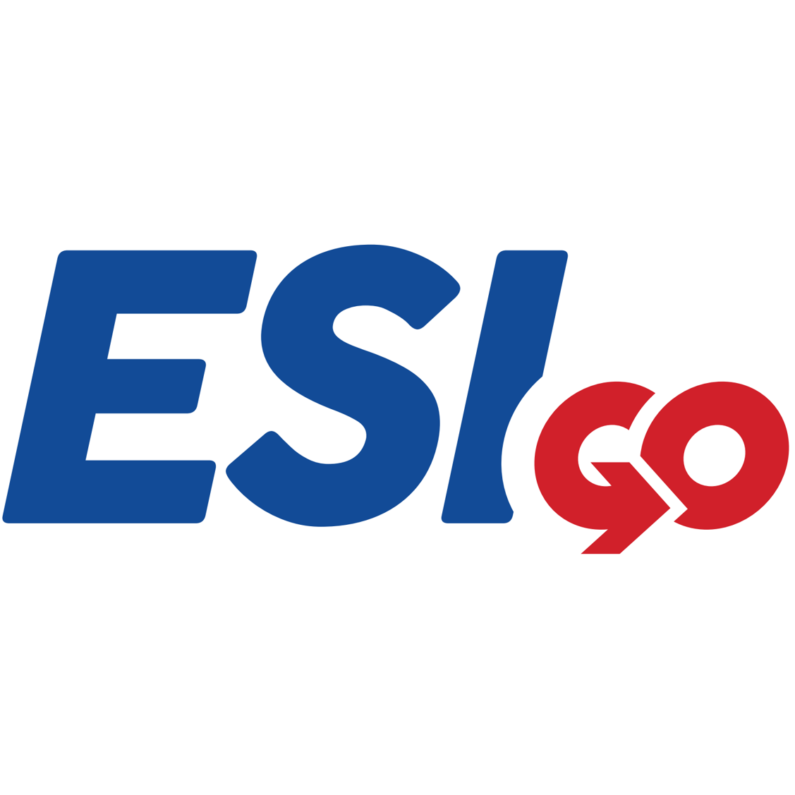 Esigo (asia) Private Limited logo
