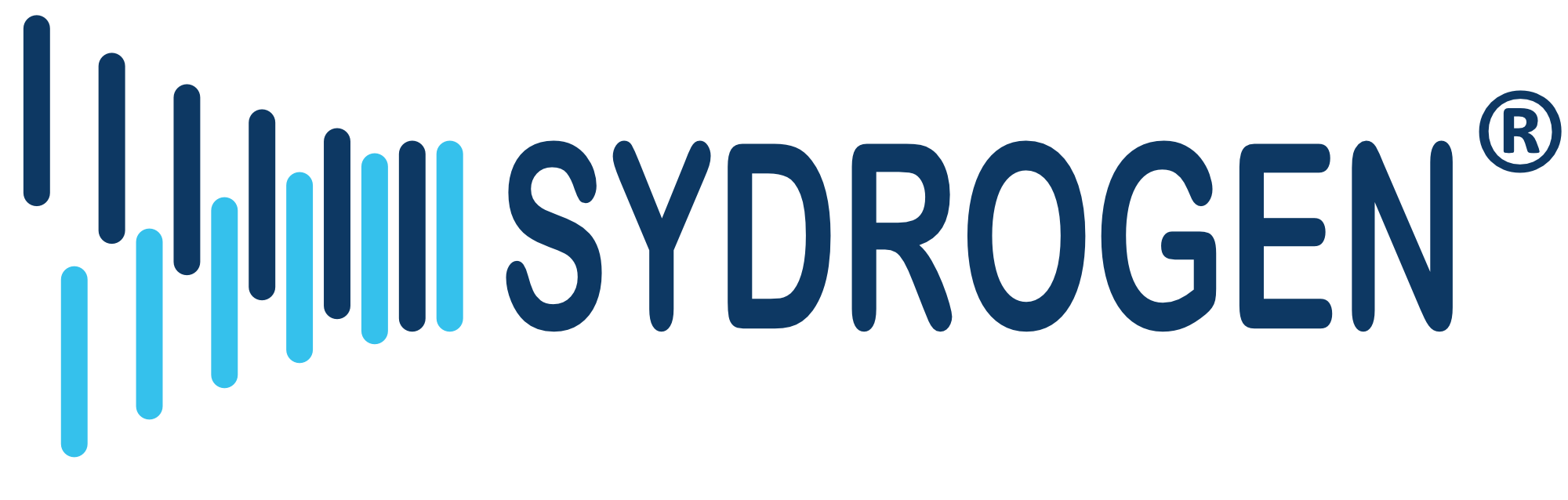 SYDROGEN ENERGY PTE. LTD. logo