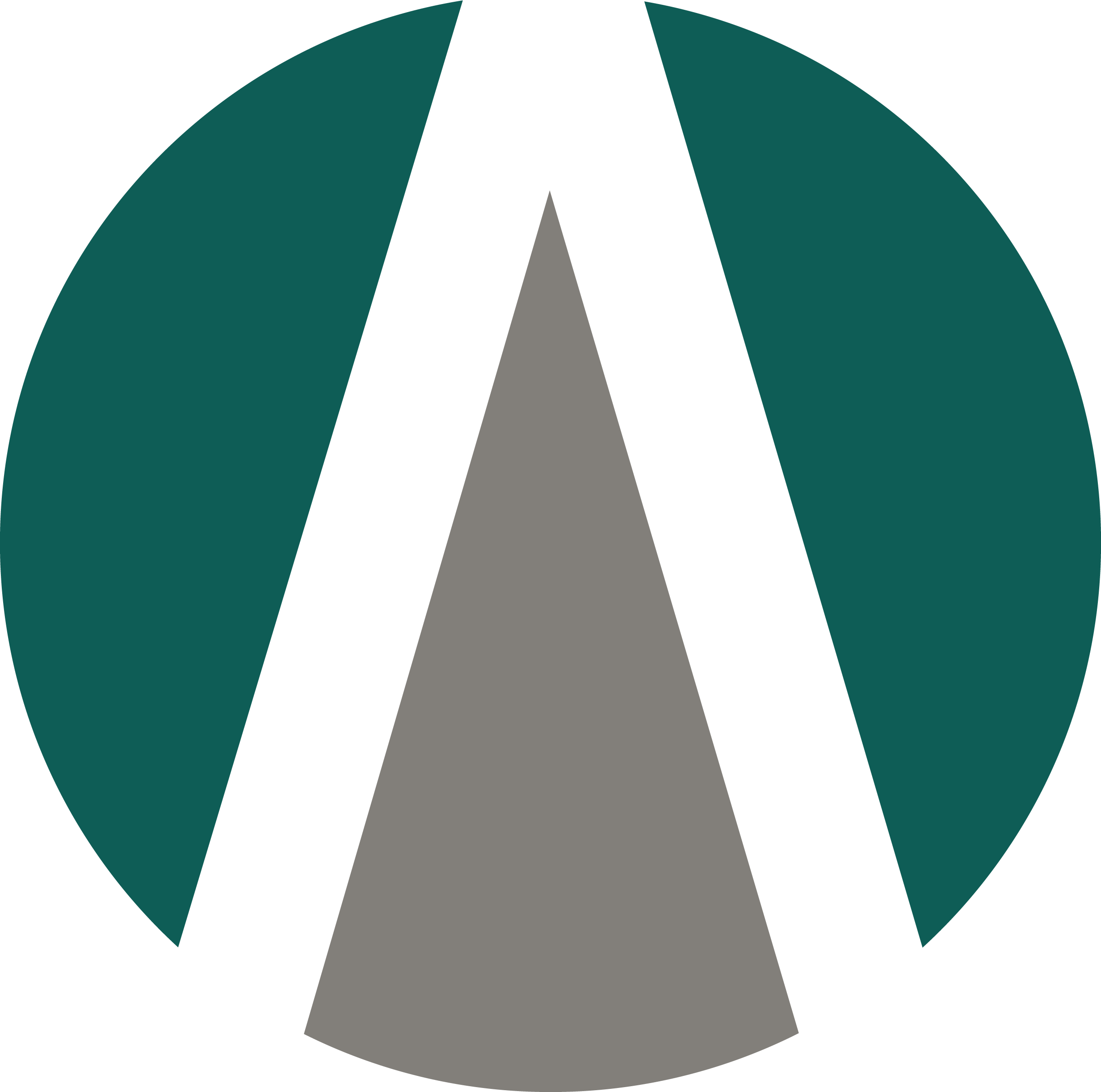 Apro-asian Protection Pte Ltd logo