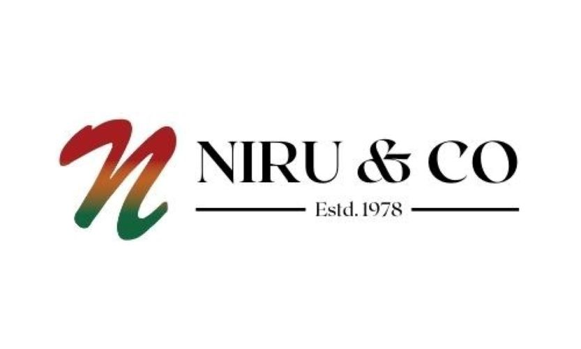 Niru & Co Llc logo