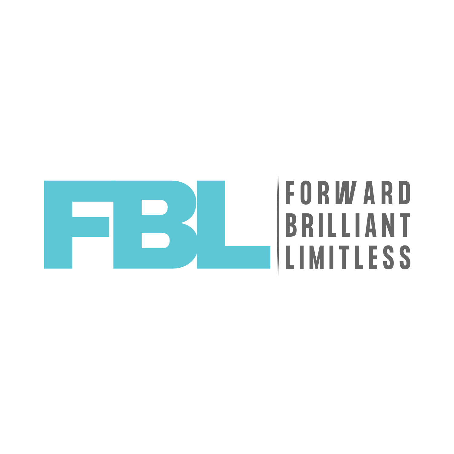 Fbl Consulting Pte. Ltd. logo