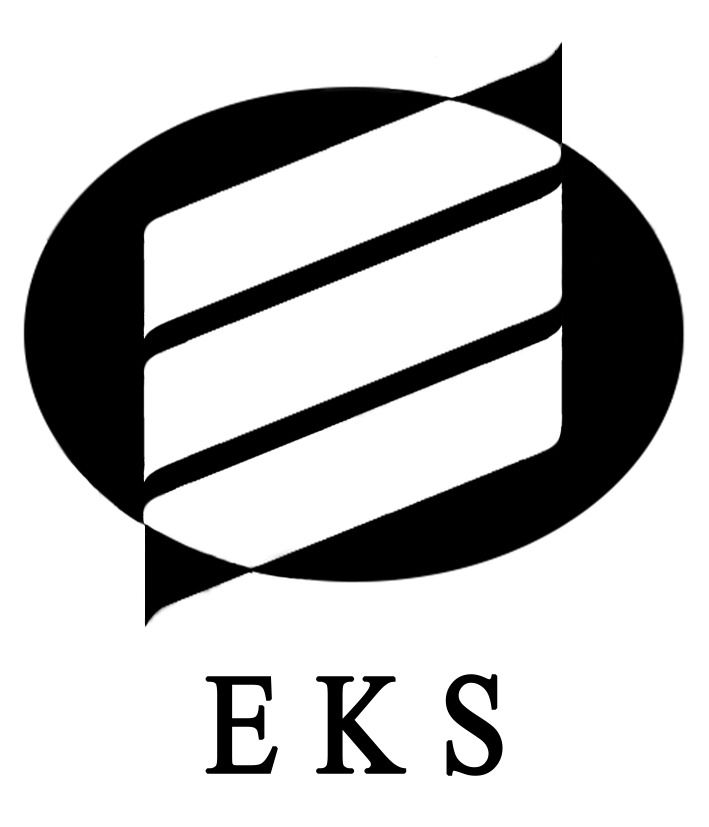 Eks Synergy Pte. Ltd. logo