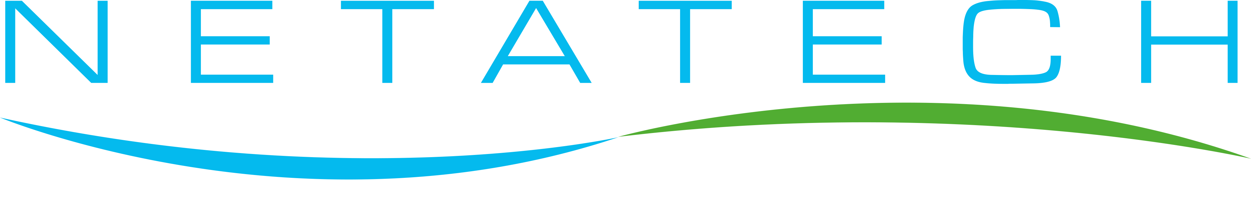 Netatech Engineering Pte. Ltd. logo