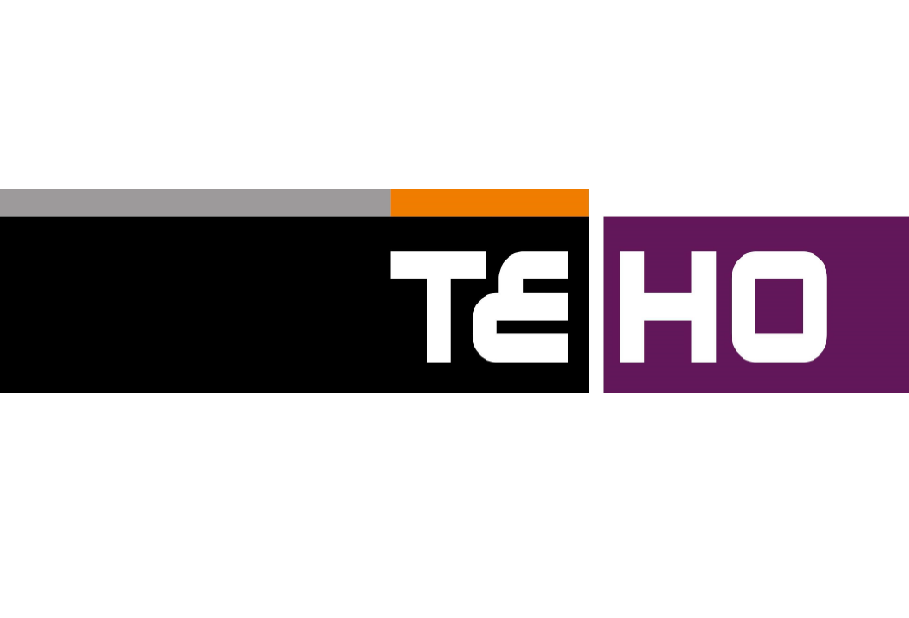 Teho Development Pte. Ltd. logo