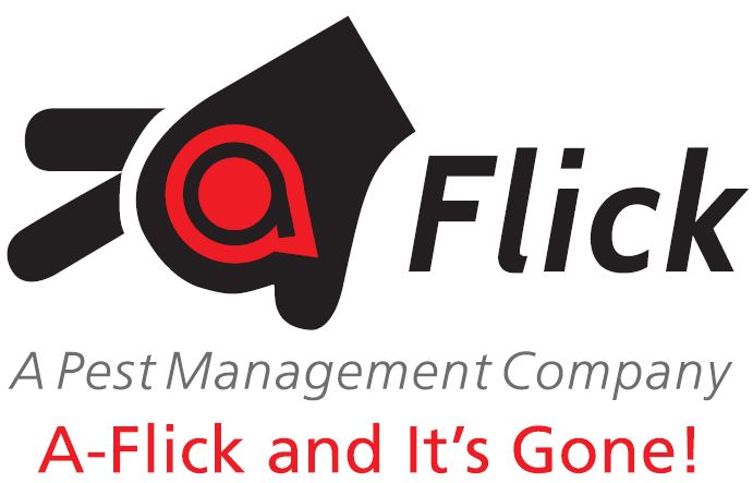 A-flick Pte. Ltd. logo