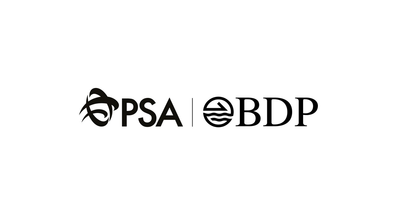 Company logo for Bdp (asia Pacific) Pte. Ltd.