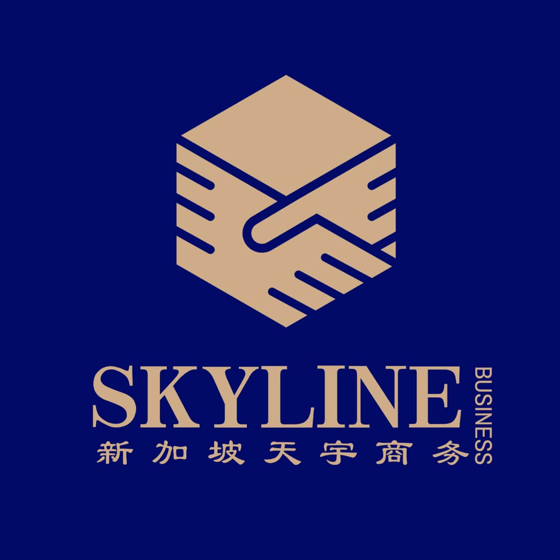 Skyline Business Consulting Pte. Ltd. logo
