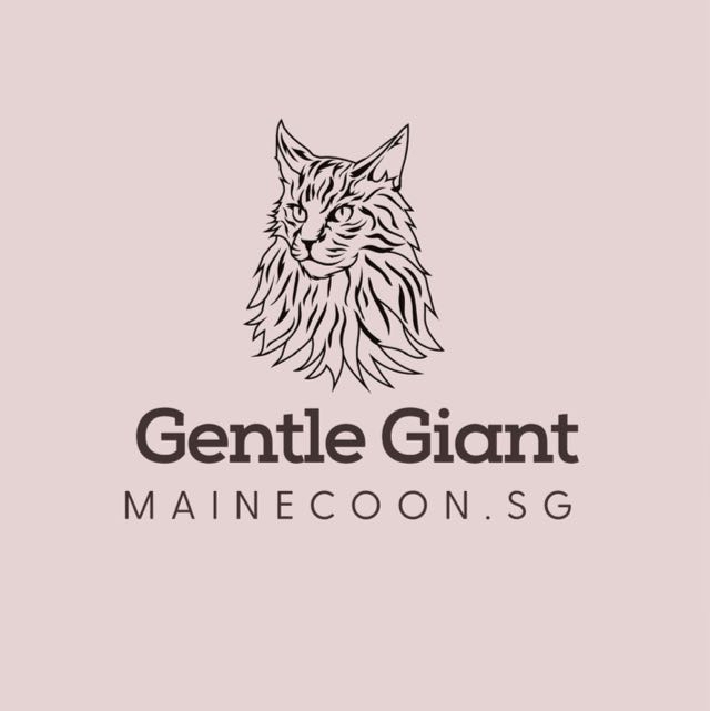 Mainecoon Cattery Sg logo