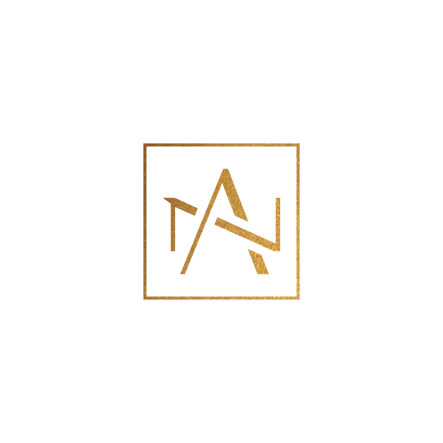 Anake Retail Pte. Ltd. logo