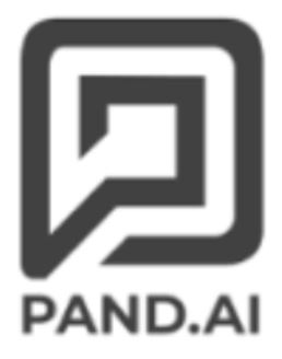 Pand.ai Pte. Ltd. logo