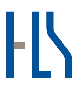 Hls Risk Advisory Services Pte. Ltd. logo
