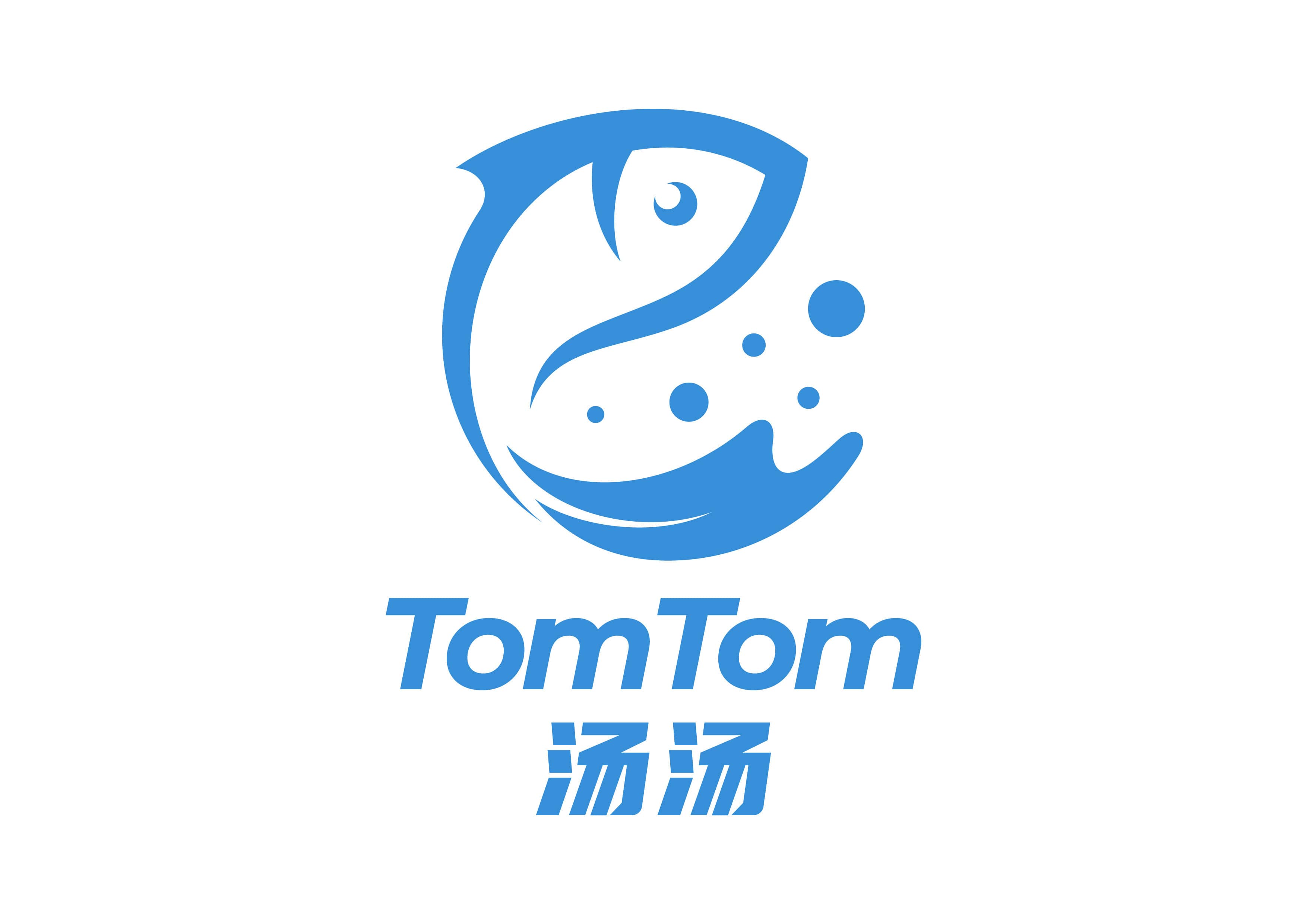 Tomtom International Pte. Ltd. logo