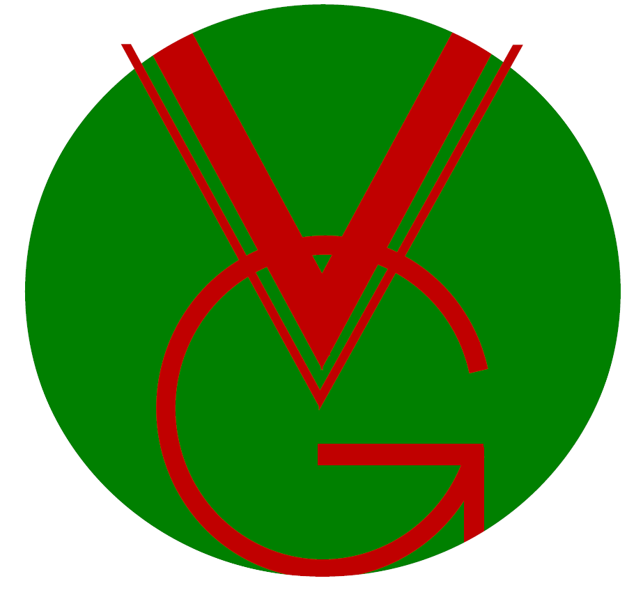 Vg Link Pte. Ltd. company logo