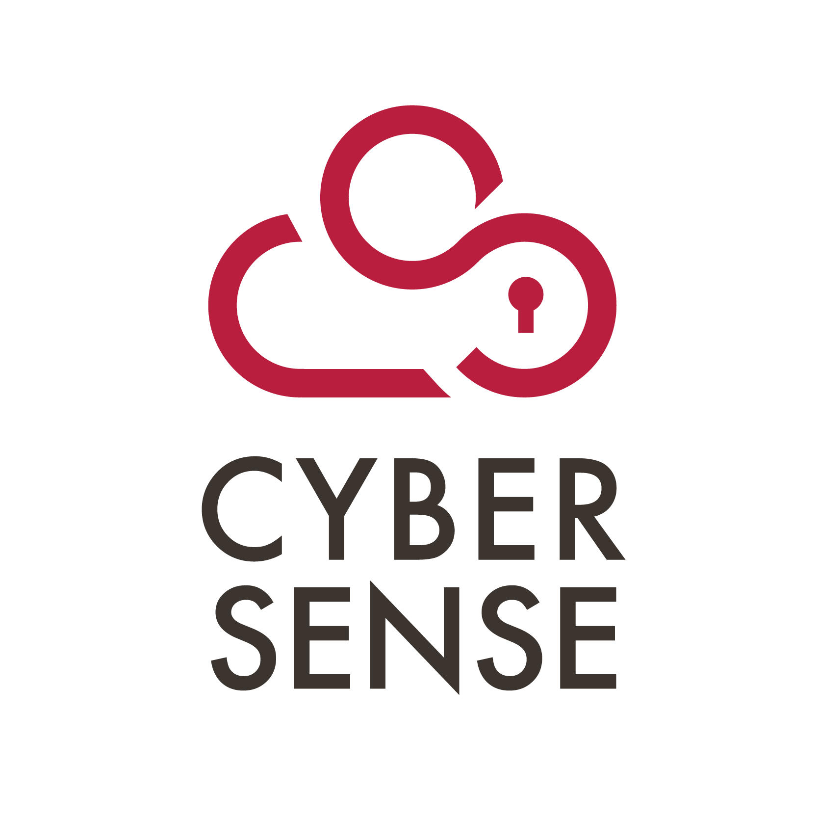 Cyber Sense Technologies Pte. Ltd. logo