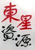 Dongxing Resource (s) Pte. Ltd. logo
