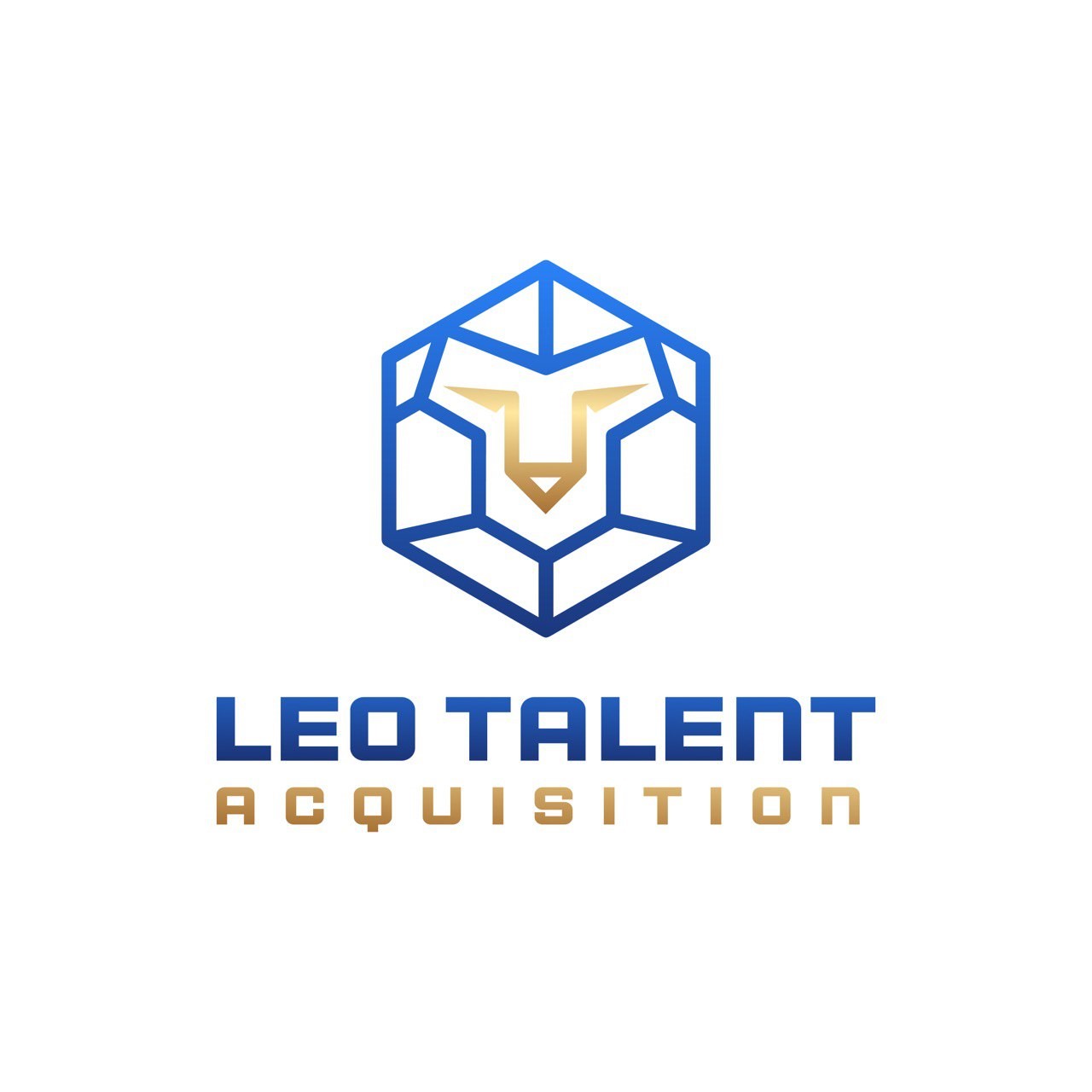 Leo Talent Acquisition Pte. Ltd. logo