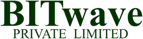 Bitwave Pte Ltd logo